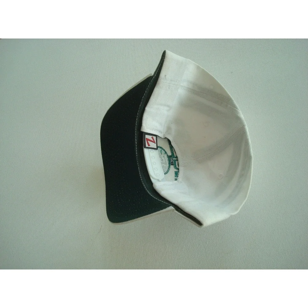 EATERN MICHIGAN EAGLES ZEP 90S  RARE  SCRIPT SNAPBACK‎ HAT CAP VINTAGE EE4